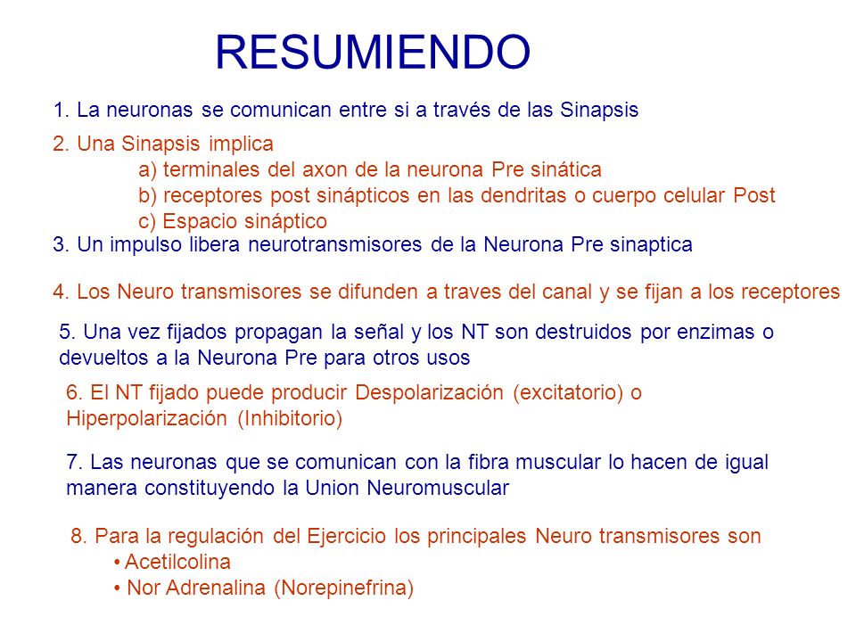 RESUMIENDO 1. La neuronas se comunican entre si a través de las Sinapsis. 2. Una Sinapsis implica.