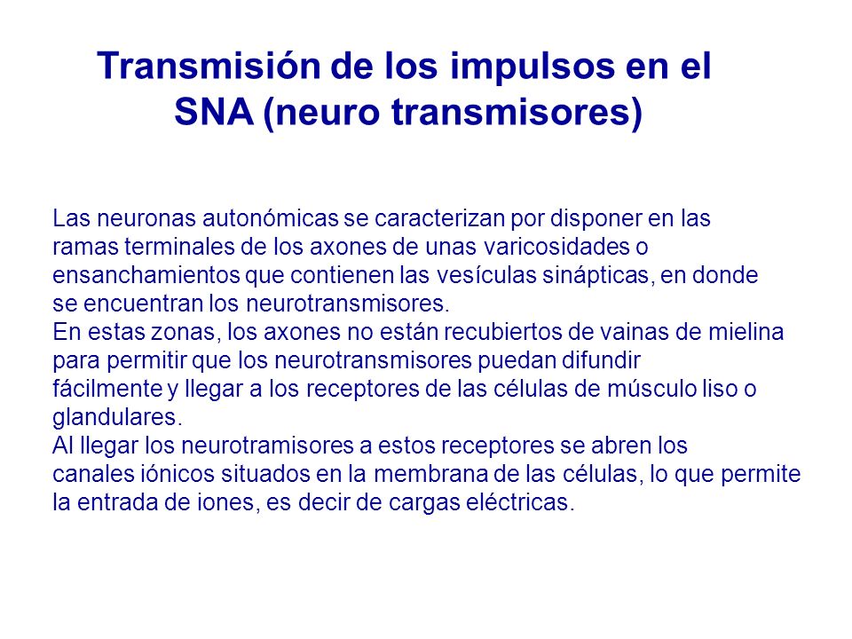 Transmisión de los impulsos en el SNA (neuro transmisores)