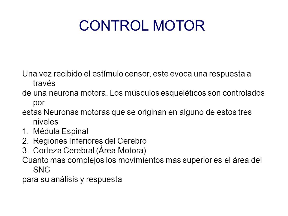 CONTROL MOTOR Una vez recibido el estímulo censor, este evoca una respuesta a través.