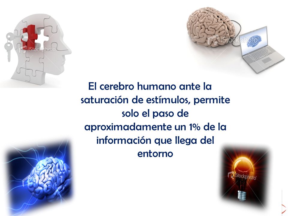 El cerebro humano ante la saturación de estímulos, permite solo el paso de aproximadamente un 1% de la información que llega del entorno