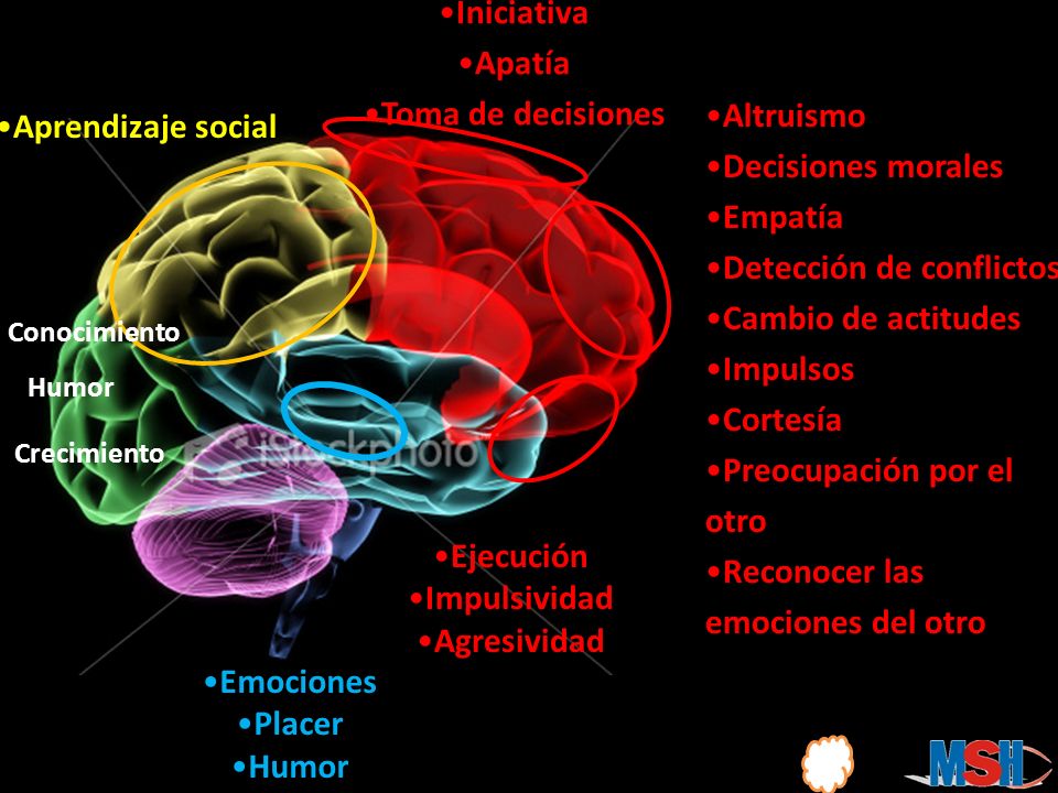 Detección de conflictos Cambio de actitudes Impulsos Cortesía
