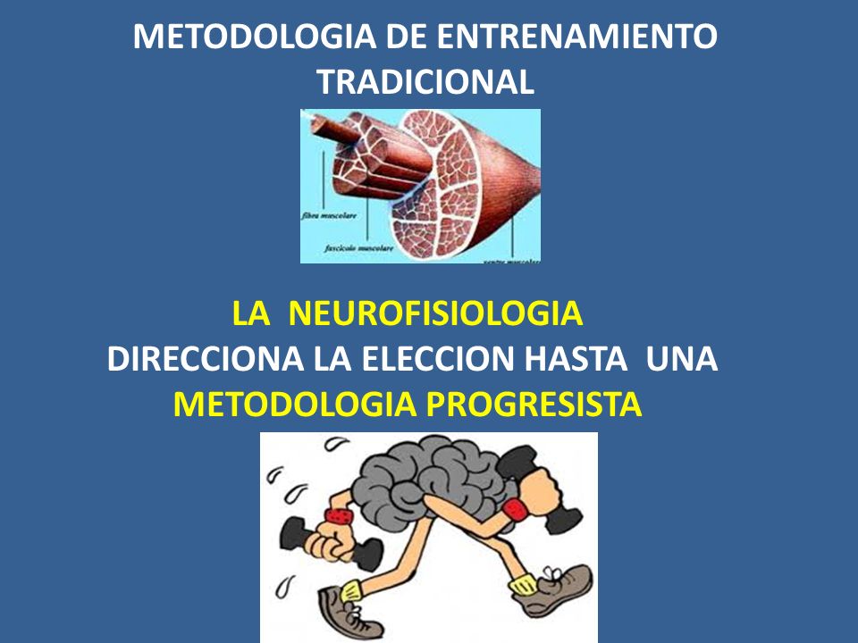 METODOLOGIA DE ENTRENAMIENTO TRADICIONAL