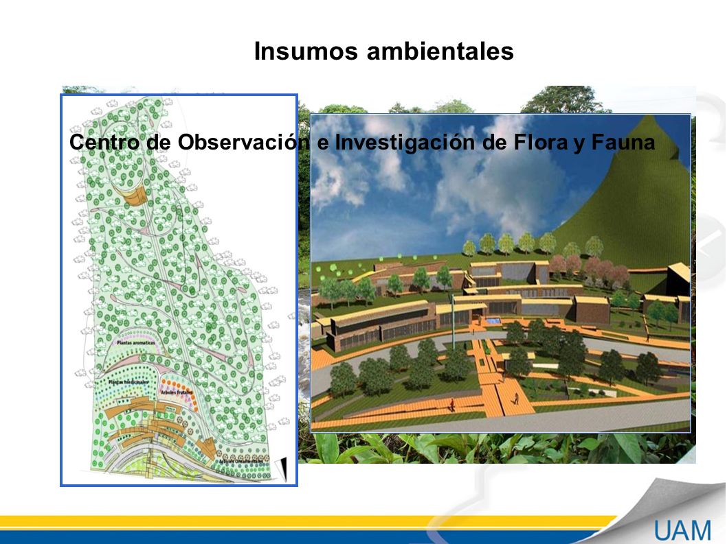 Insumos ambientales Centro de Observación e Investigación de Flora y Fauna
