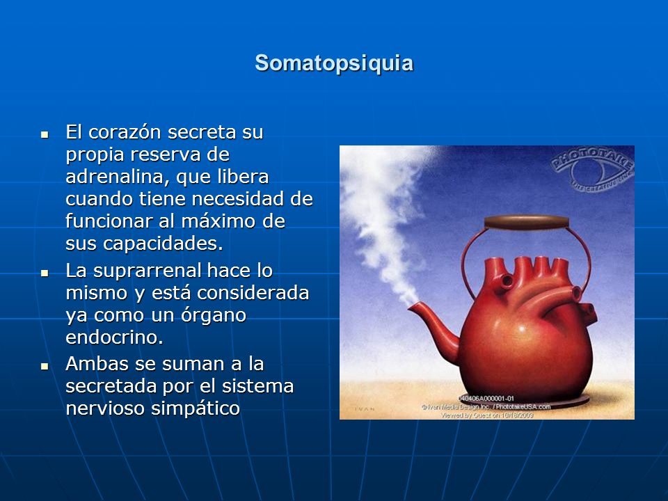 Somatopsiquia El corazón secreta su propia reserva de adrenalina, que libera cuando tiene necesidad de funcionar al máximo de sus capacidades.
