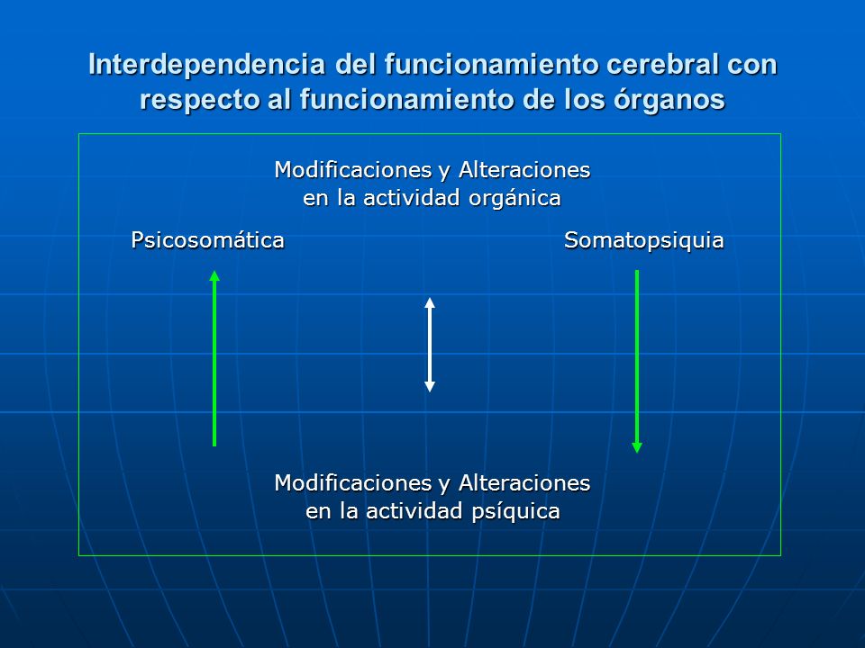 Interdependencia del funcionamiento cerebral con respecto al funcionamiento de los órganos