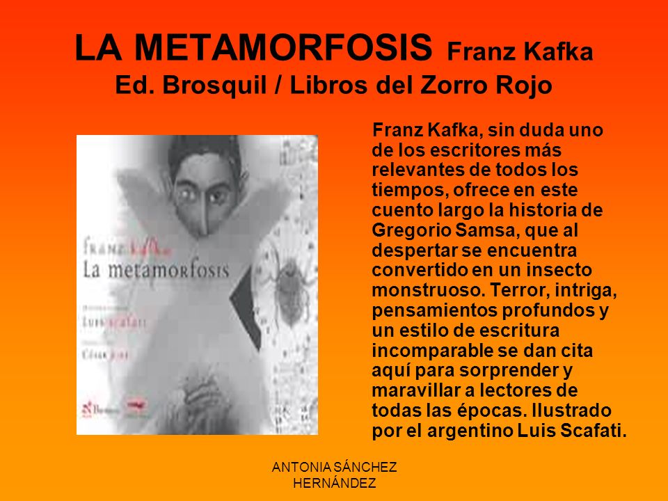 LA METAMORFOSIS Franz Kafka Ed. Brosquil / Libros del Zorro Rojo
