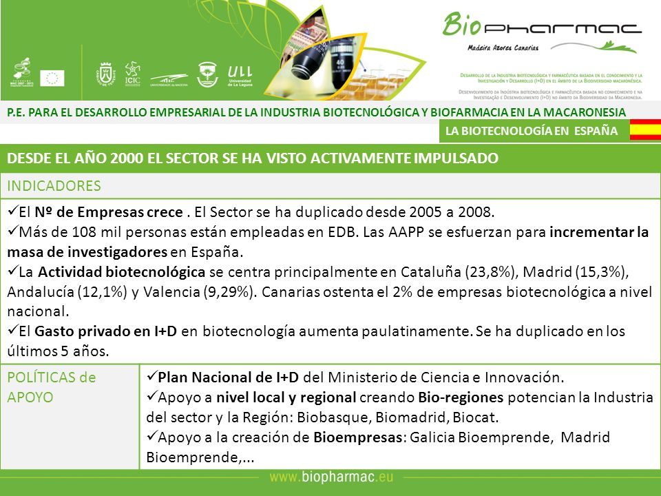 DESDE EL AÑO 2000 EL SECTOR SE HA VISTO ACTIVAMENTE IMPULSADO