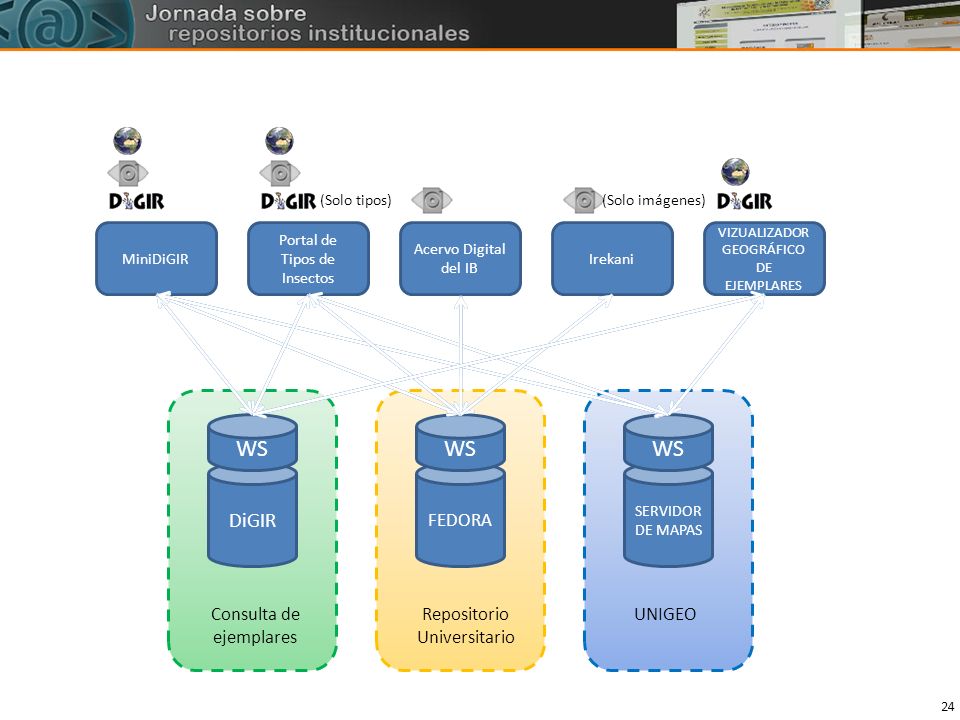 Resultados WS WS WS DiGIR FEDORA Consulta de ejemplares Repositorio