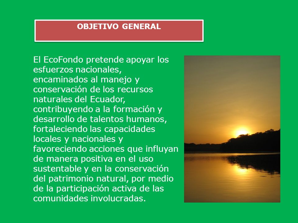 OBJETIVO GENERAL
