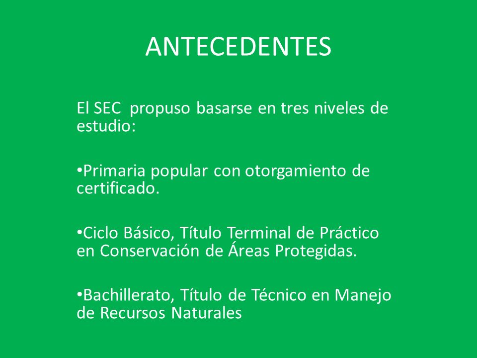 ANTECEDENTES El SEC propuso basarse en tres niveles de estudio: