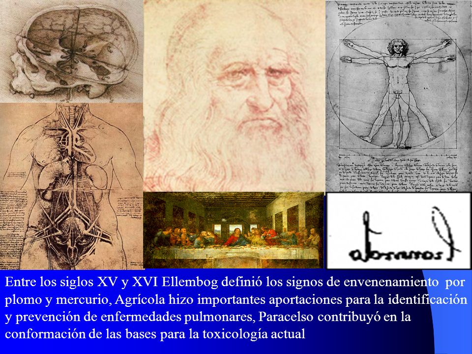 Entre los siglos XV y XVI Ellembog definió los signos de envenenamiento por plomo y mercurio, Agrícola hizo importantes aportaciones para la identificación y prevención de enfermedades pulmonares, Paracelso contribuyó en la conformación de las bases para la toxicología actual