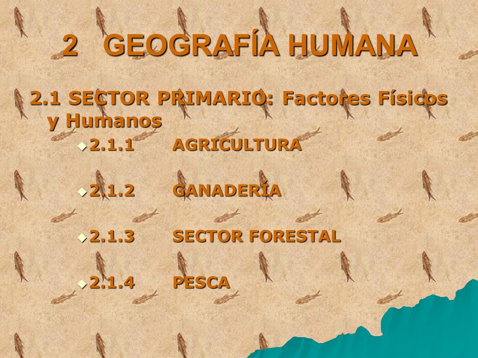 2 GEOGRAFÍA HUMANA 2.1 SECTOR PRIMARIO: Factores Físicos y Humanos