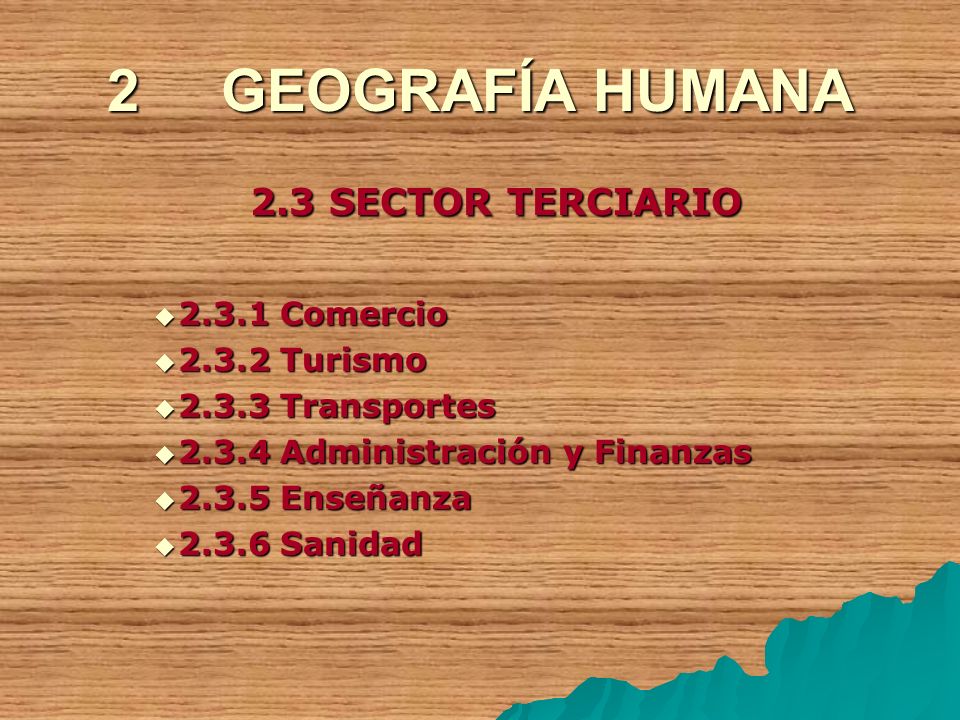 2 GEOGRAFÍA HUMANA 2.3 SECTOR TERCIARIO Comercio Turismo