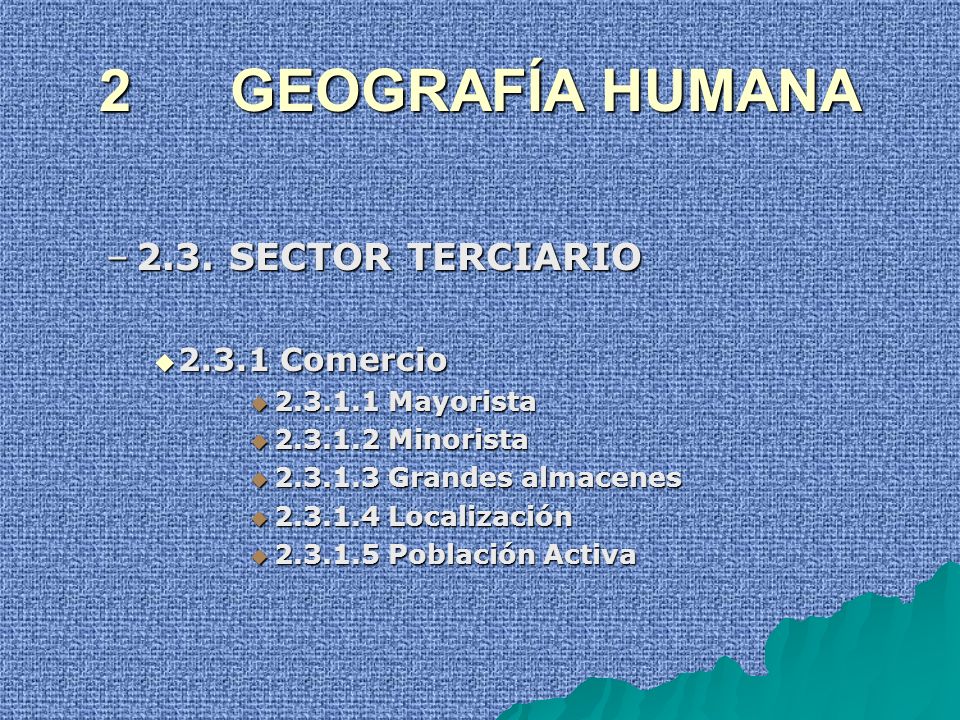 2 GEOGRAFÍA HUMANA 2.3. SECTOR TERCIARIO Comercio
