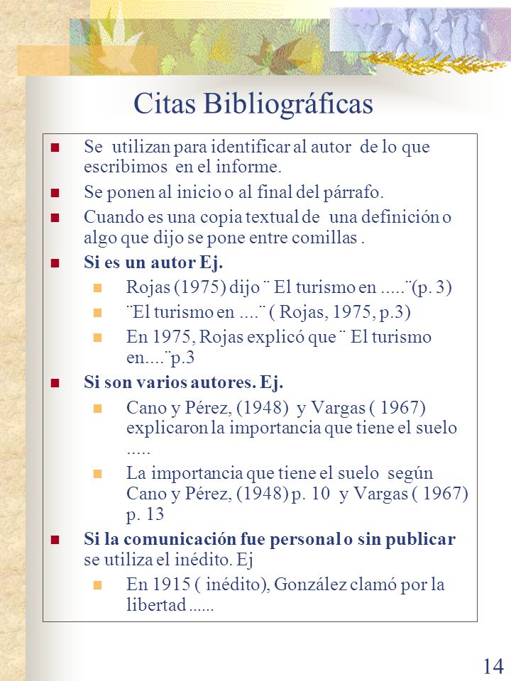 Citas Bibliográficas Se utilizan para identificar al autor de lo que escribimos en el informe. Se ponen al inicio o al final del párrafo.