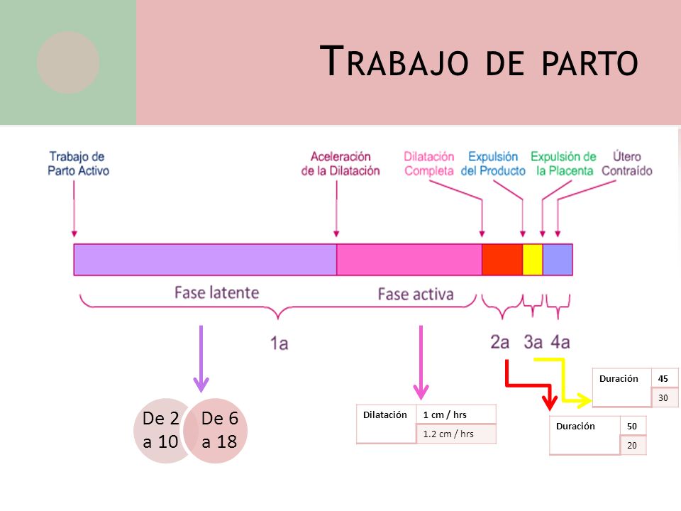 Trabajo de parto De 2 a 10 De 6 a 18 Duración Dilatación