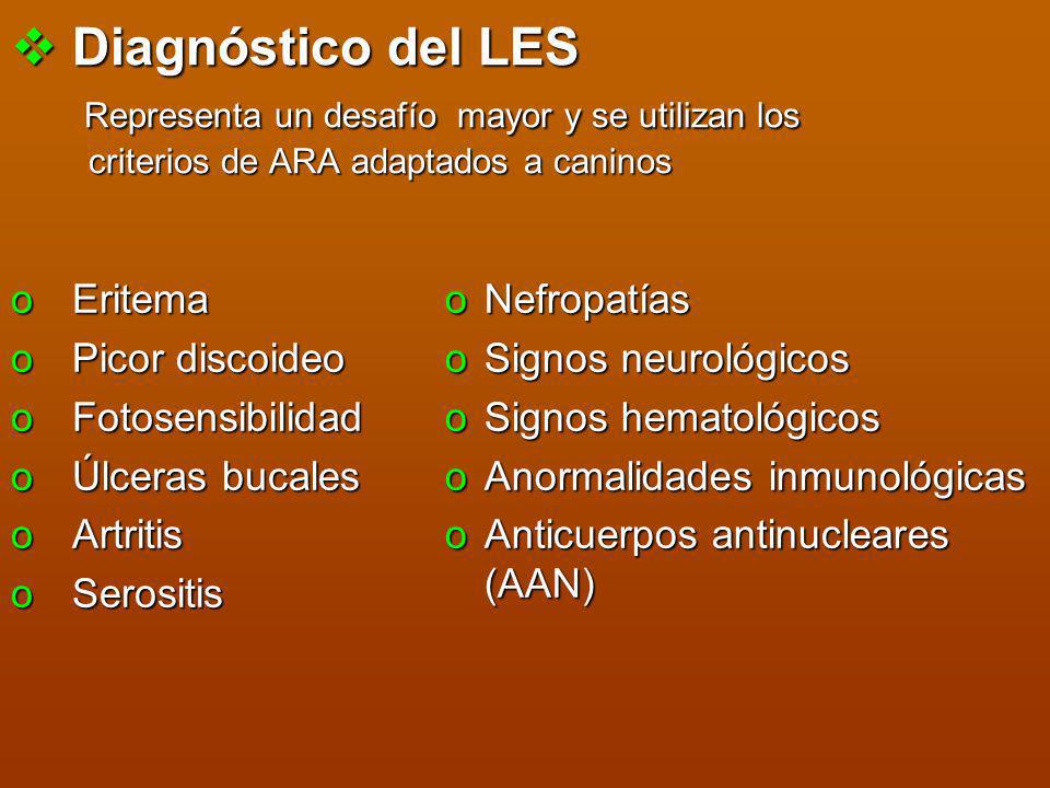 Diagnóstico del LES Representa un desafío mayor y se utilizan los criterios de ARA adaptados a caninos