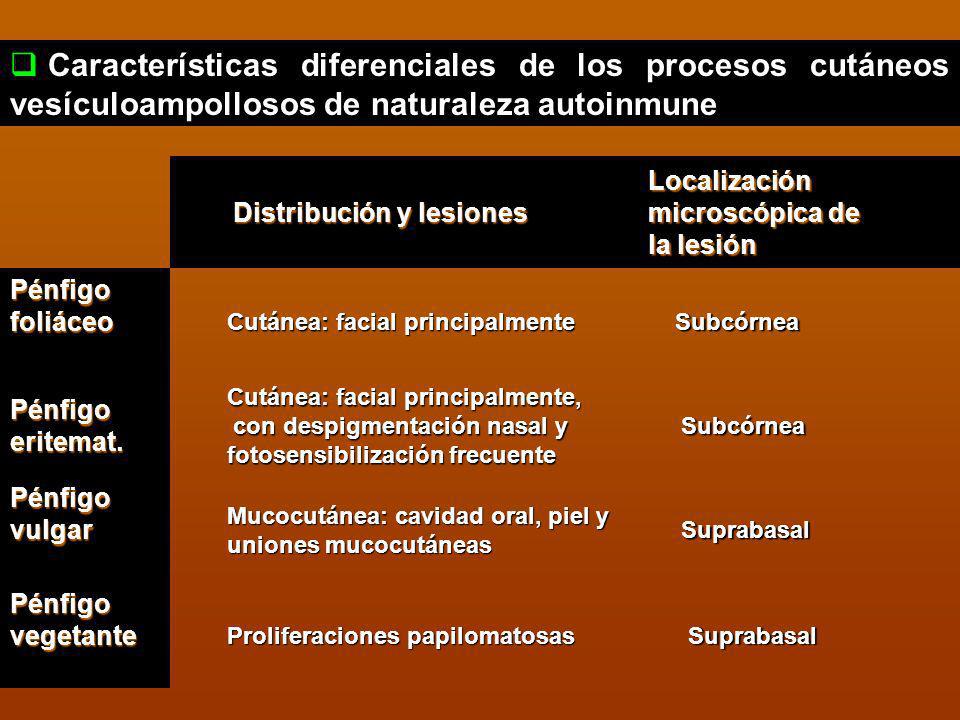 Características diferenciales de los procesos cutáneos vesículoampollosos de naturaleza autoinmune