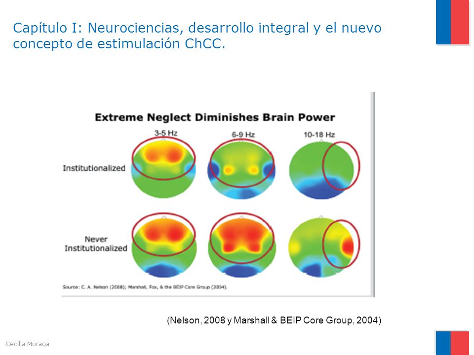 Capítulo I: Neurociencias, desarrollo integral y el nuevo concepto de estimulación ChCC.