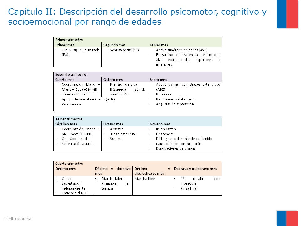 Capítulo II: Descripción del desarrollo psicomotor, cognitivo y socioemocional por rango de edades