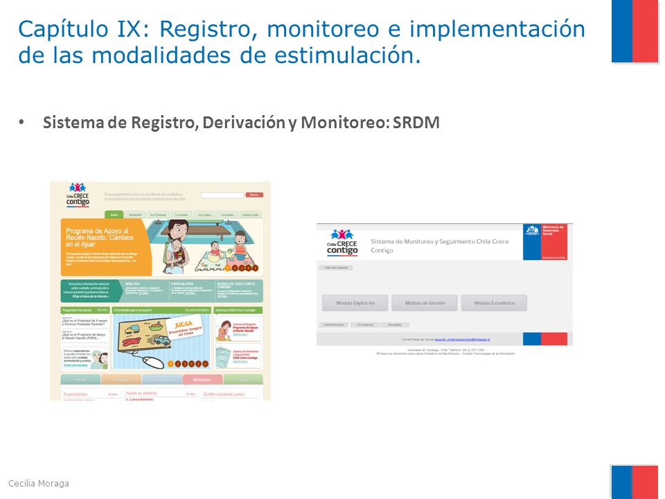 Capítulo IX: Registro, monitoreo e implementación de las modalidades de estimulación.
