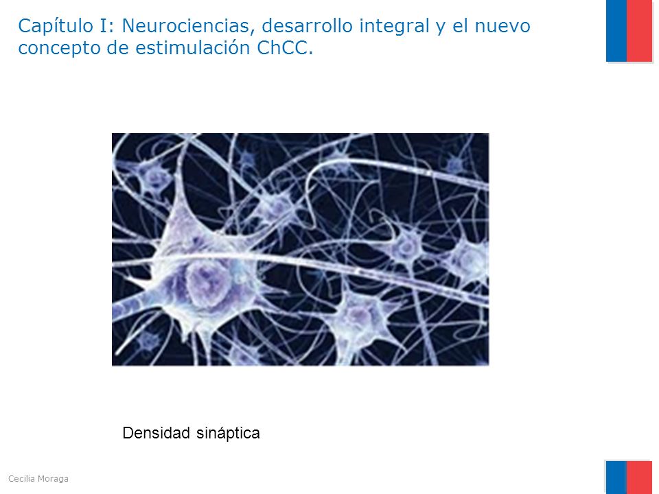 Capítulo I: Neurociencias, desarrollo integral y el nuevo concepto de estimulación ChCC.