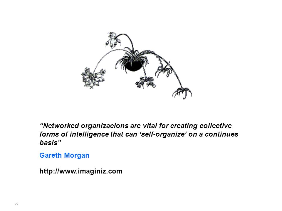 Networked organizacions are vital for creating collective forms of intelligence that can ‘self-organize’ on a continues basis