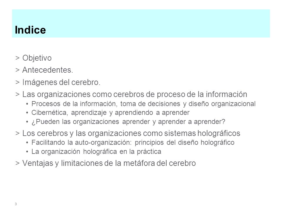 Indice Objetivo Antecedentes. Imágenes del cerebro.