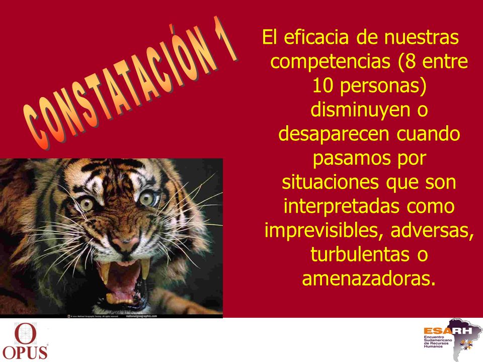 El eficacia de nuestras competencias (8 entre 10 personas) disminuyen o desaparecen cuando pasamos por situaciones que son interpretadas como imprevisibles, adversas, turbulentas o amenazadoras.