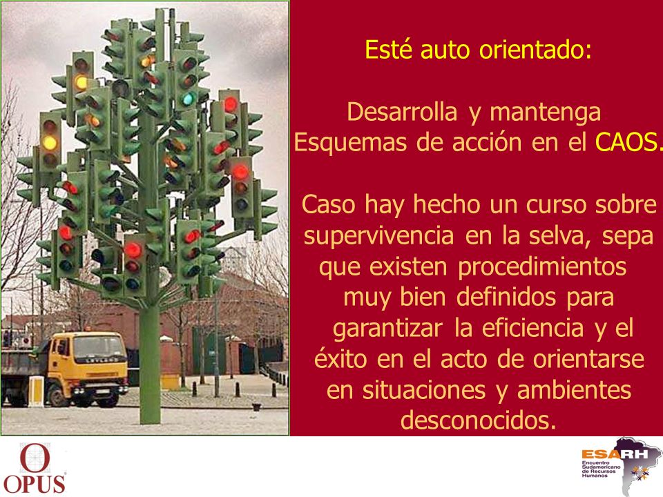 Esquemas de acción en el CAOS. Caso hay hecho un curso sobre