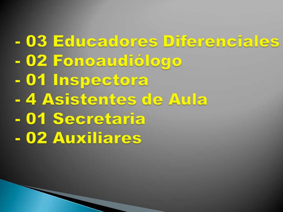 - 03 Educadores Diferenciales - 02 Fonoaudiólogo - 01 Inspectora - 4 Asistentes de Aula - 01 Secretaria - 02 Auxiliares