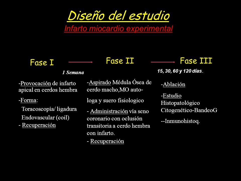 Diseño del estudio Infarto miocardio experimental Fase I Fase II