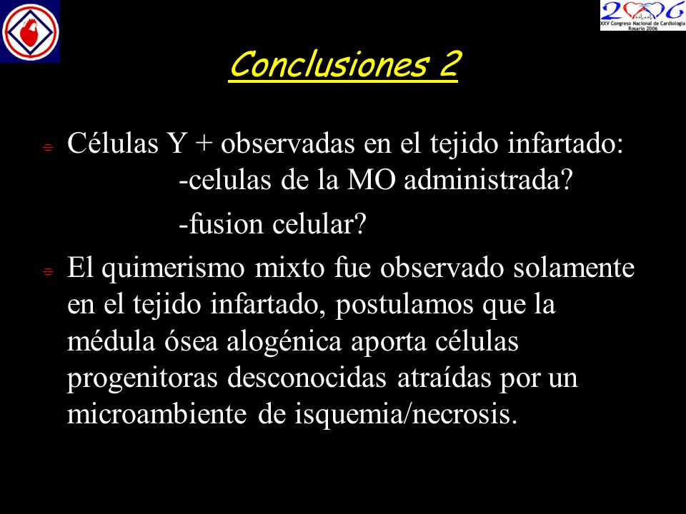 Conclusiones 2 Células Y + observadas en el tejido infartado: -celulas de la MO administrada