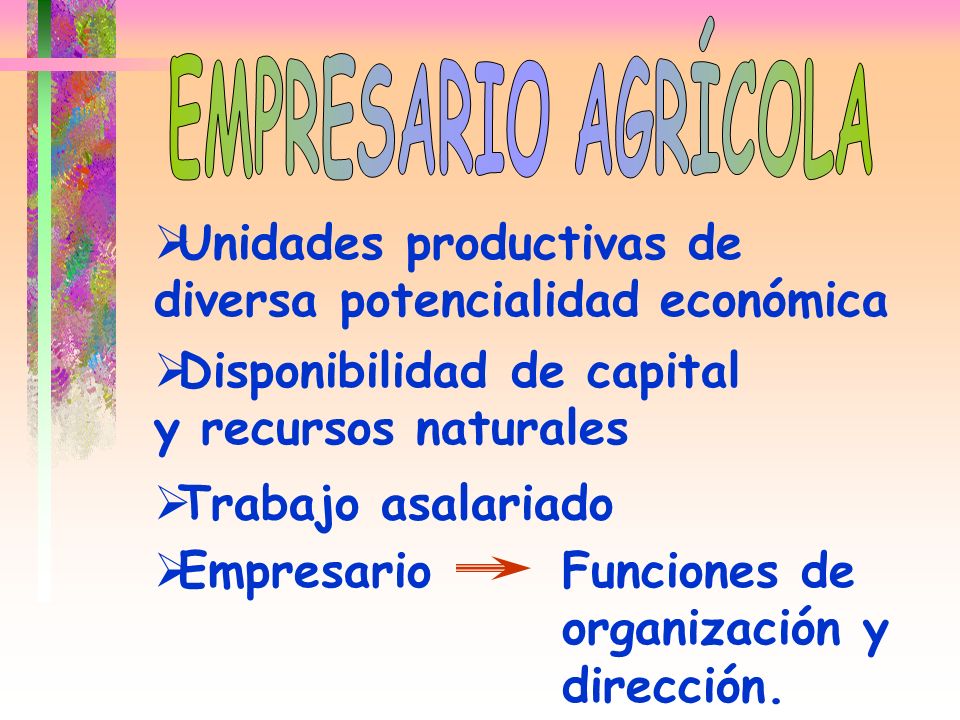 EMPRESARIO AGRÍCOLA Unidades productivas de diversa potencialidad económica. Disponibilidad de capital y recursos naturales.