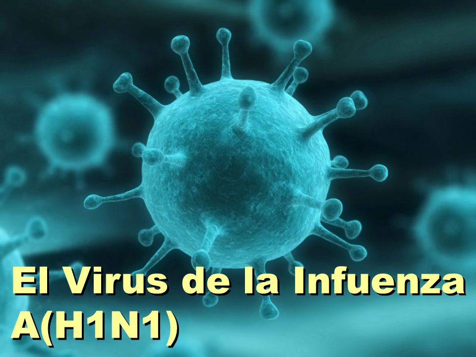 El Virus de la Infuenza A(H1N1)