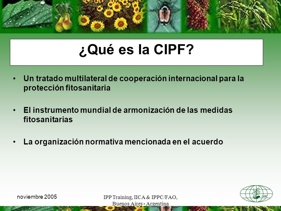 ¿Qué es la CIPF Un tratado multilateral de cooperación internacional para la protección fitosanitaria.