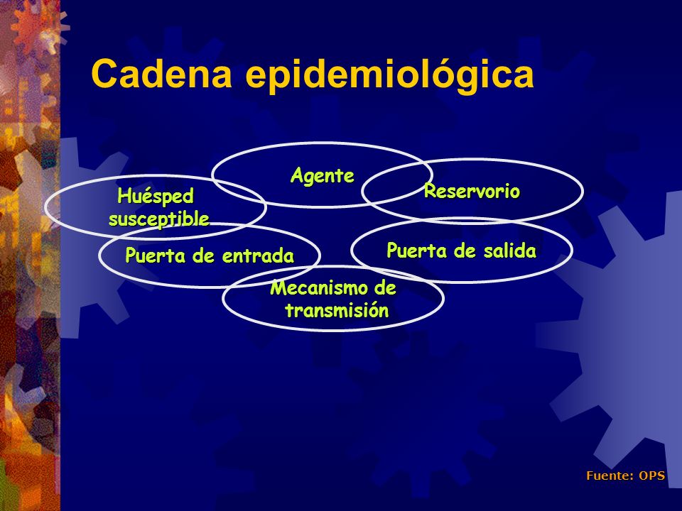 Cadena epidemiológica