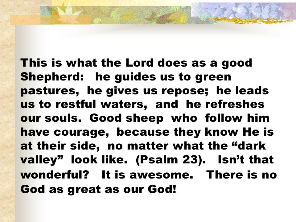 This is what the Lord does as a good Shepherd: he guides us to green pastures, he gives us repose; he leads us to restful waters, and he refreshes our souls.