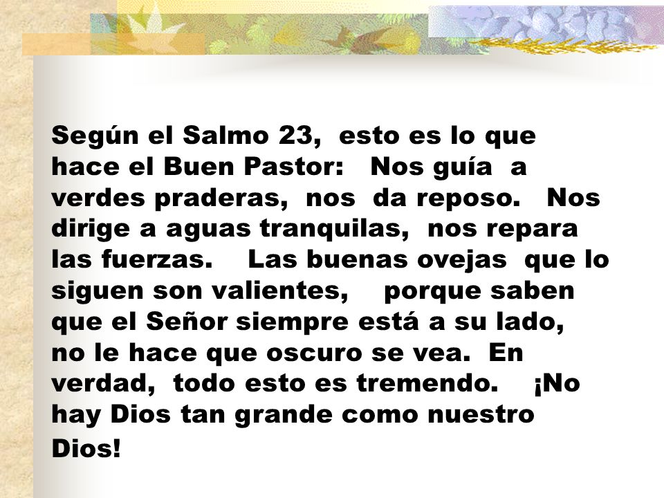 Según el Salmo 23, esto es lo que hace el Buen Pastor: Nos guía a verdes praderas, nos da reposo.