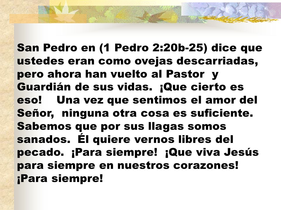 San Pedro en (1 Pedro 2:20b-25) dice que ustedes eran como ovejas descarriadas, pero ahora han vuelto al Pastor y Guardián de sus vidas.