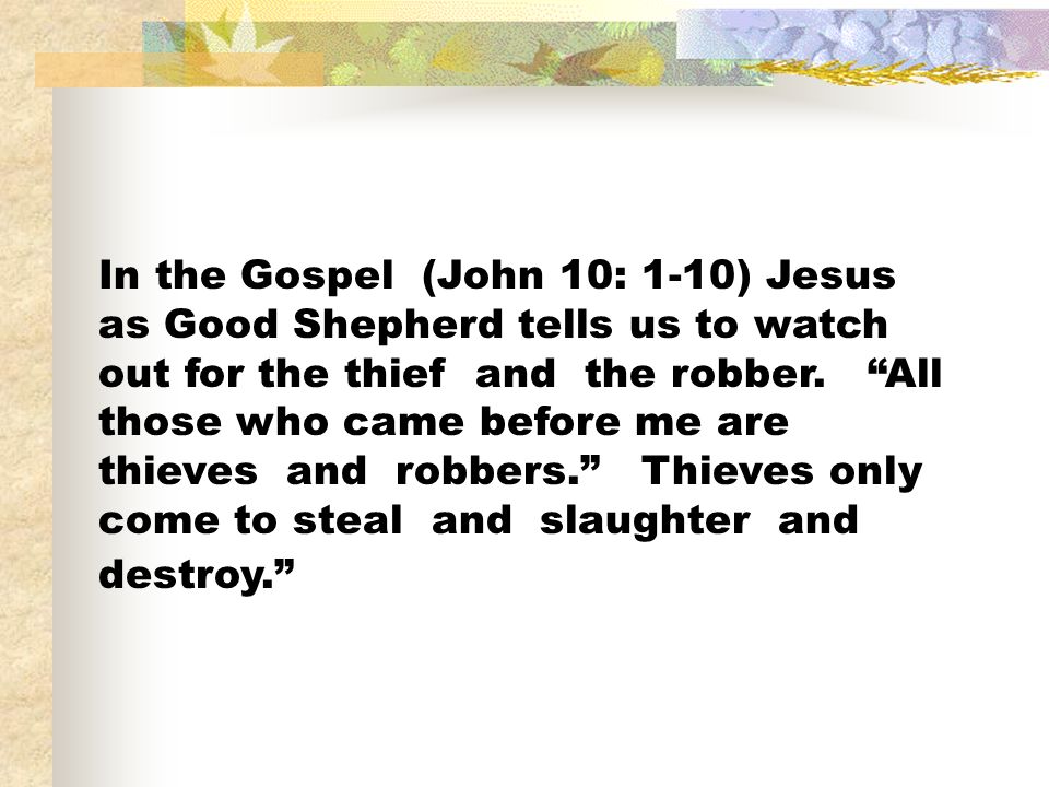 In the Gospel (John 10: 1-10) Jesus as Good Shepherd tells us to watch out for the thief and the robber.