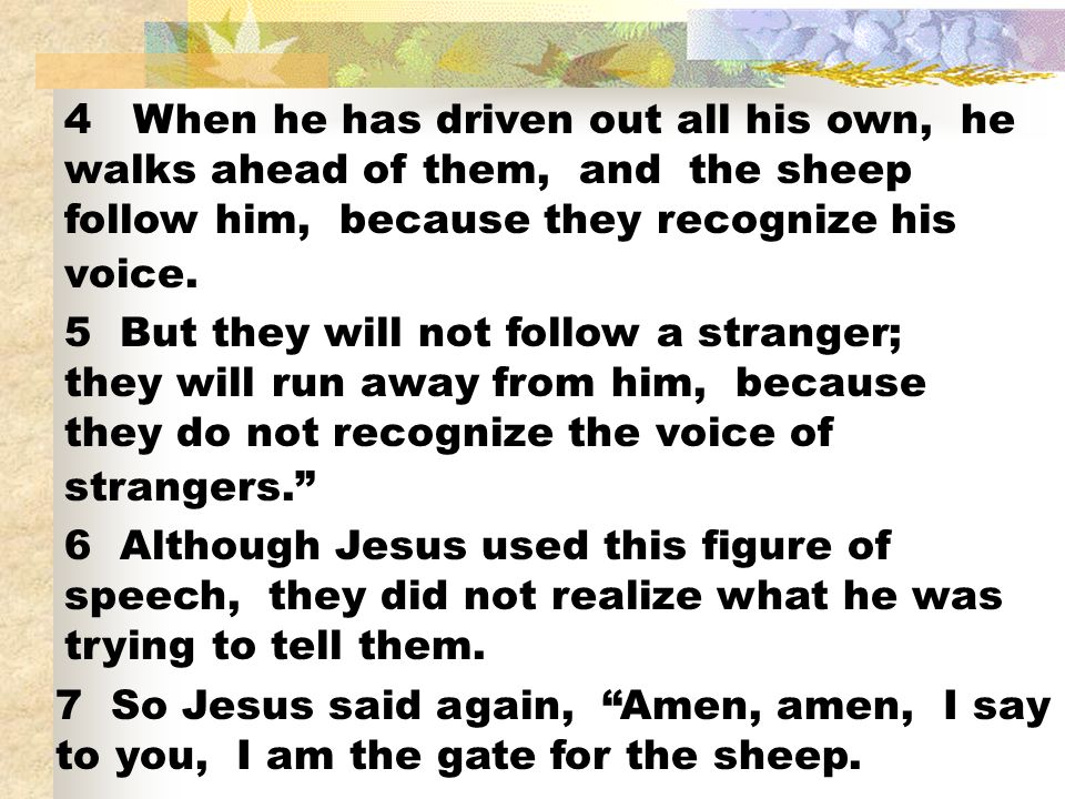 4 When he has driven out all his own, he walks ahead of them, and the sheep follow him, because they recognize his voice.