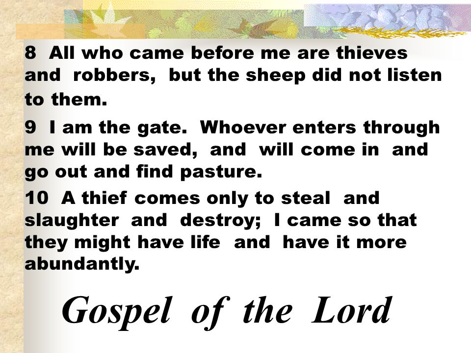 8 All who came before me are thieves and robbers, but the sheep did not listen to them.