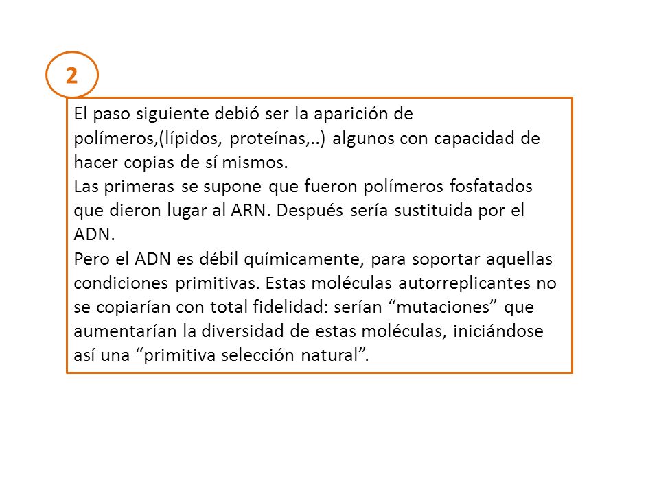 2 El paso siguiente debió ser la aparición de polímeros,(lípidos, proteínas,..) algunos con capacidad de hacer copias de sí mismos.