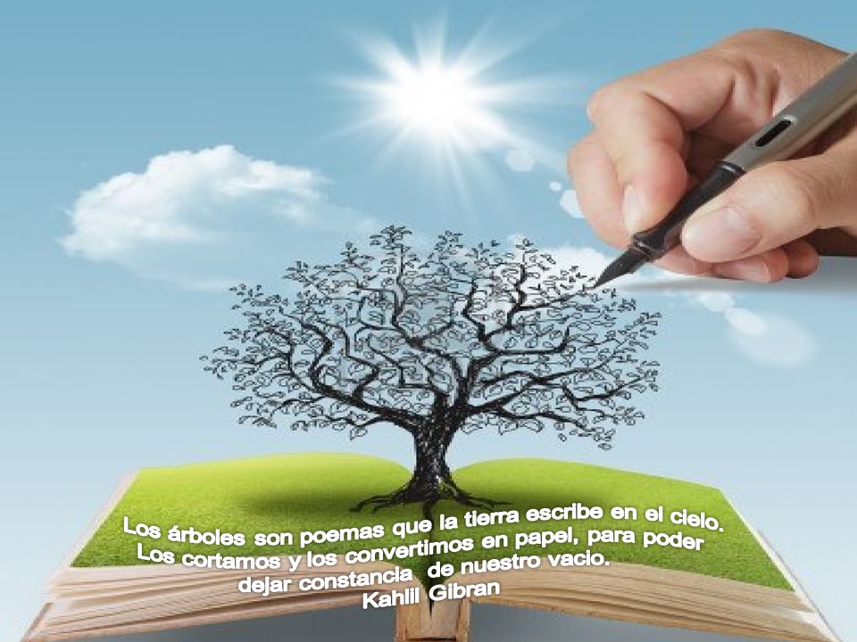 Los árboles son poemas que la tierra escribe en el cielo.