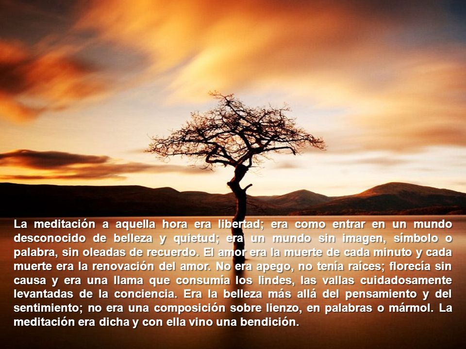 La meditación a aquella hora era libertad; era como entrar en un mundo desconocido de belleza y quietud; era un mundo sin imagen, símbolo o palabra, sin oleadas de recuerdo.