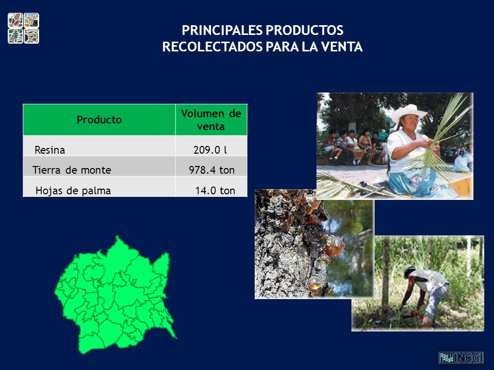 PRINCIPALES PRODUCTOS RECOLECTADOS PARA LA VENTA