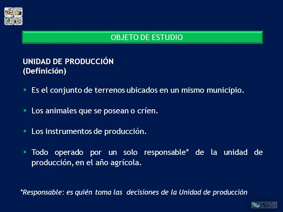 UNIDAD DE PRODUCCIÓN (Definición)