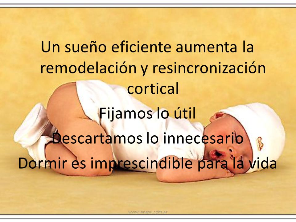 Un sueño eficiente aumenta la remodelación y resincronización cortical Fijamos lo útil Descartamos lo innecesario Dormir es imprescindible para la vida