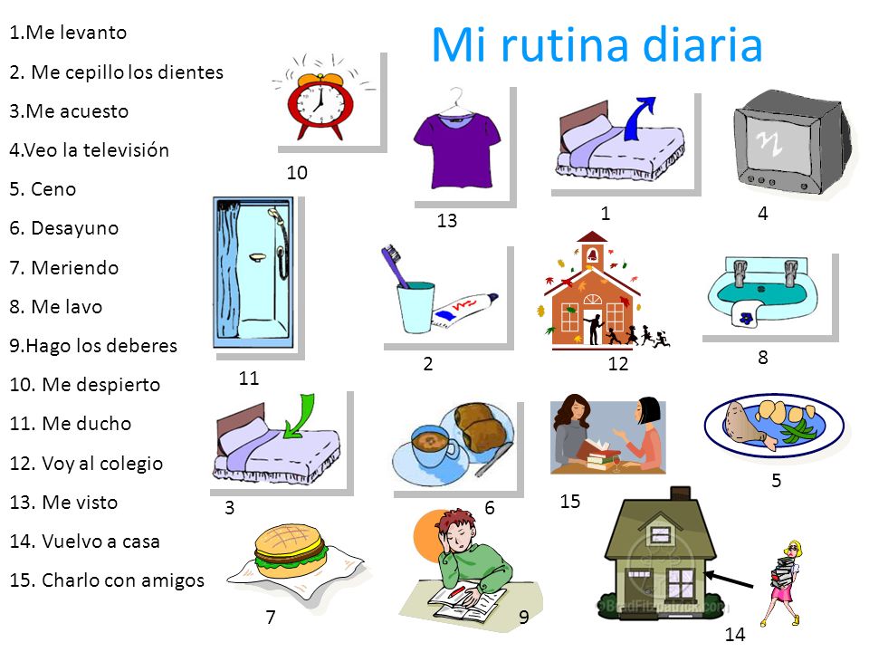 Mi rutina diaria 1.Me levanto 2. Me cepillo los dientes 3.Me acuesto